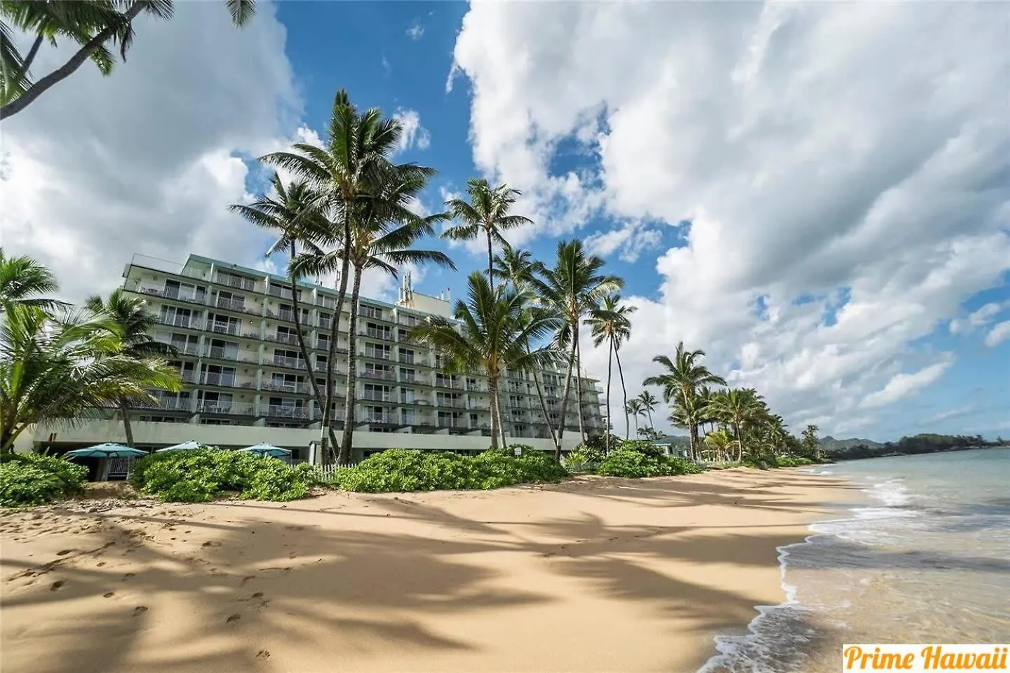 Pats At Punalu'U - Beachfront Condo 7 Hau'ula 0*,
