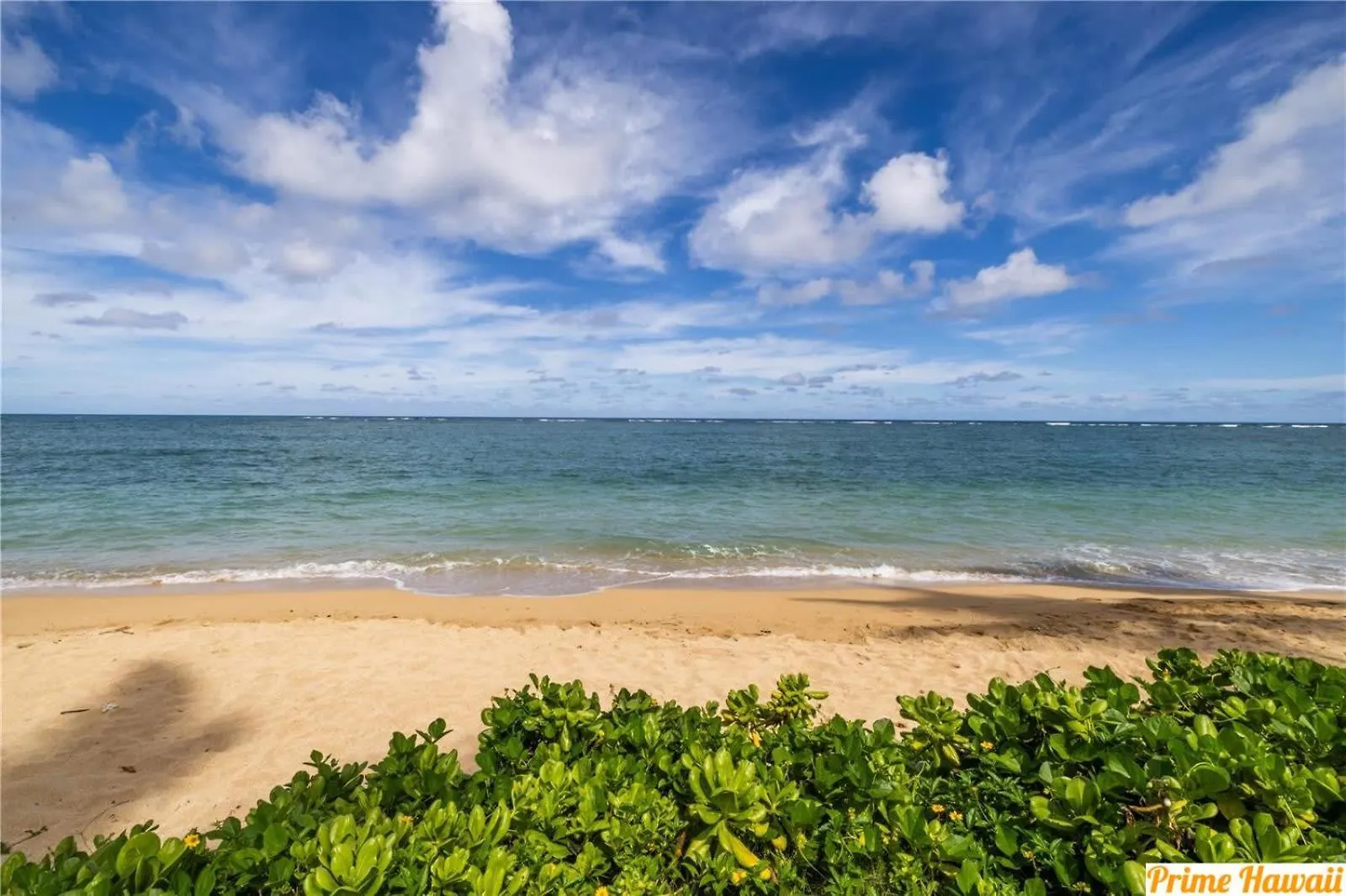Pats At Punalu'U - Beachfront Condo 7 Hau'ula