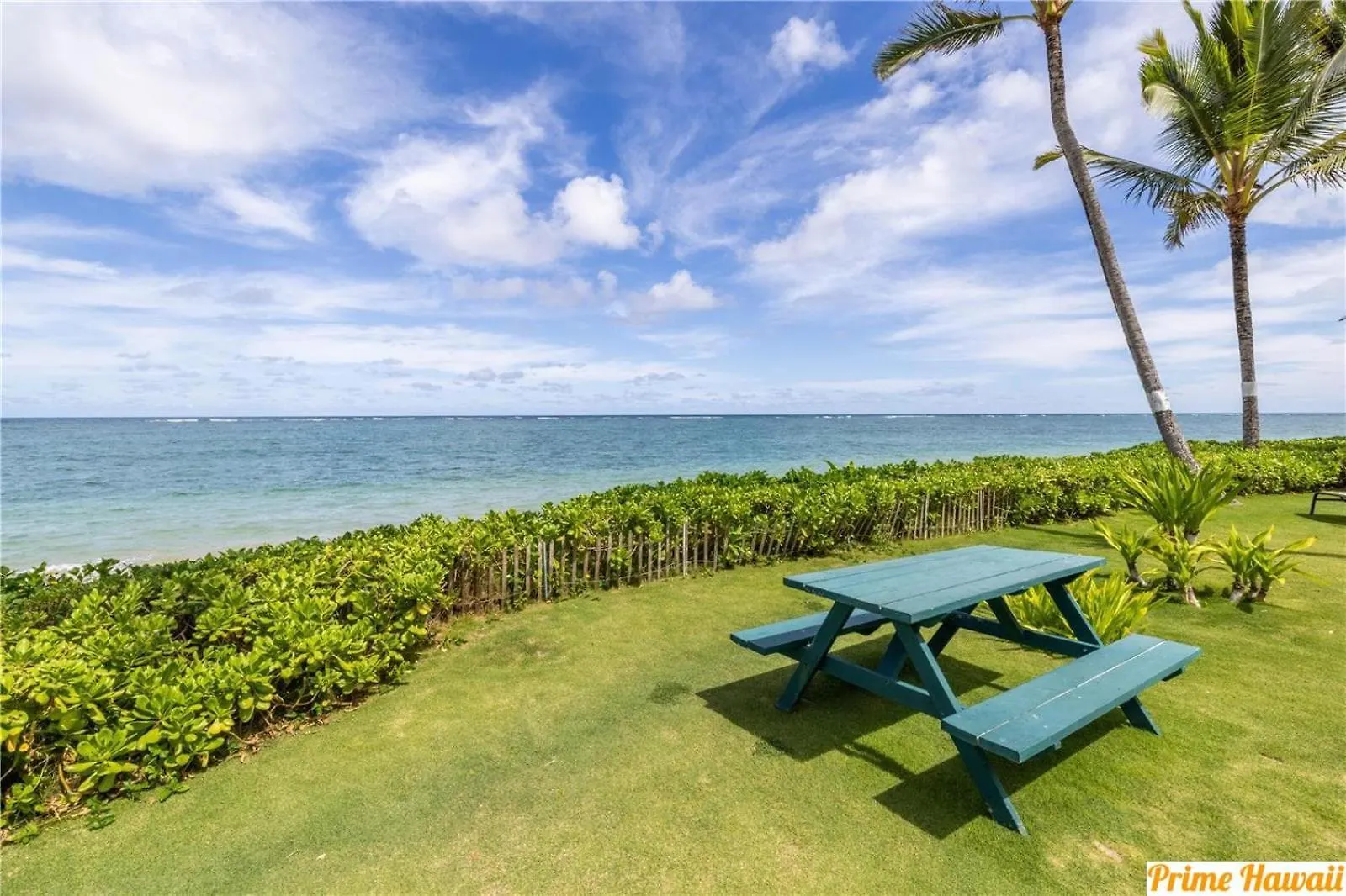 Pats At Punalu'U - Beachfront Condo 7 Hau'ula